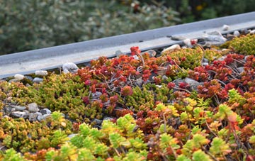 the cost of Strath green roof installation