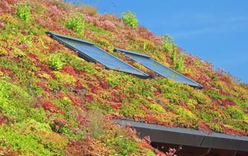 Strath living roof systems