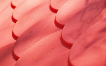 Strath plastic roof costs