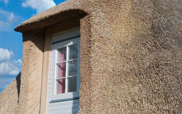 Strath thatch roof disadvantages